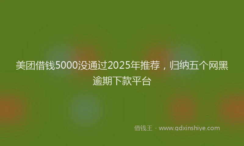 美团借钱5000没通过2025年推荐，归纳五个网黑逾期下款平台