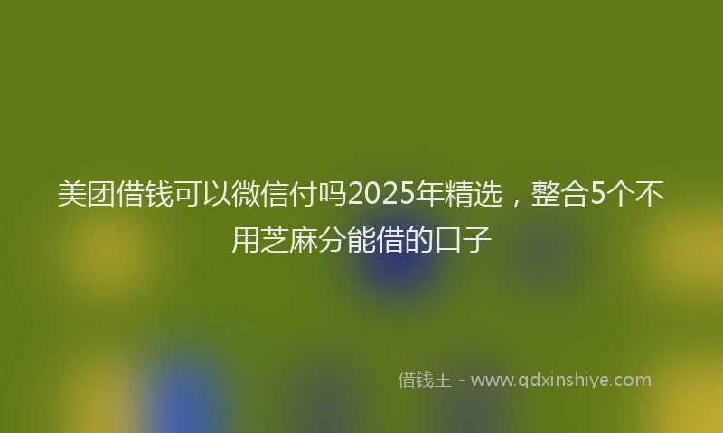 美团借钱可以微信付吗2025年精选，整合5个不用芝麻分能借的口子