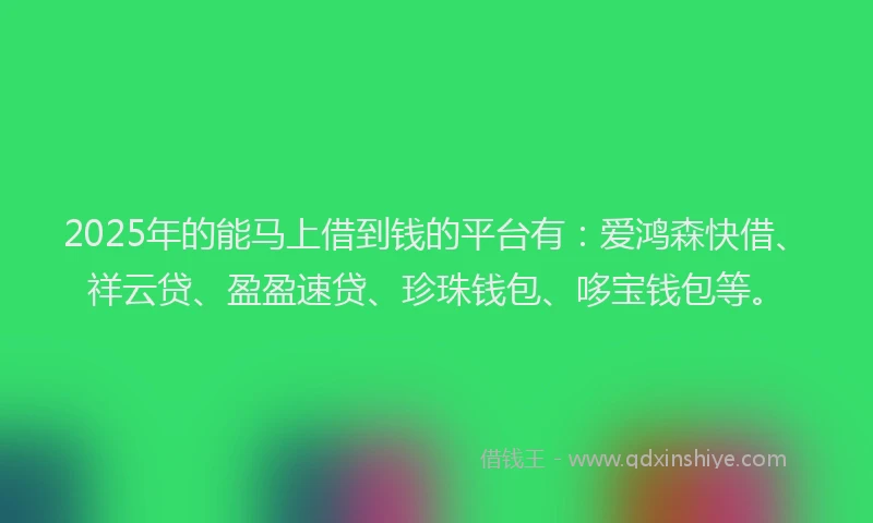 2025年的能马上借到钱的平台有：爱鸿森快借、祥云贷、盈盈速贷、珍珠钱包、哆宝钱包等。