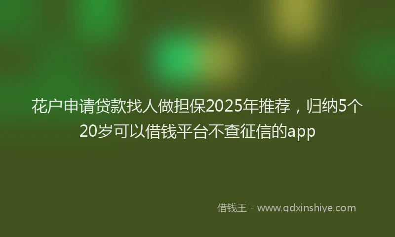花户申请贷款找人做担保2025年推荐，归纳5个20岁可以借钱平台不查征信的app
