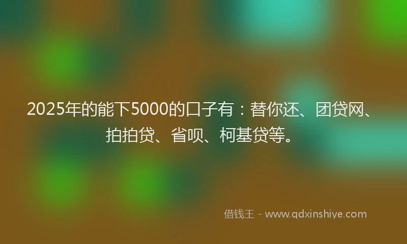 2025年的能下5000的口子有：替你还、团贷网、拍拍贷、省呗、柯基贷等。