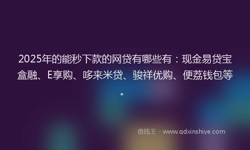 2025年的能秒下款的网贷有哪些有：现金易贷宝盒融、E享购、哆来米贷、骏祥优购、便荔钱包等。