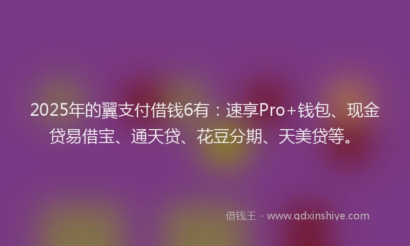 2025年的翼支付借钱6有：速享Pro+钱包、现金贷易借宝、通天贷、花豆分期、天美贷等。