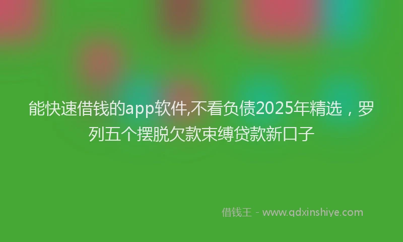 能快速借钱的app软件,不看负债2025年精选，罗列五个摆脱欠款束缚贷款新口子
