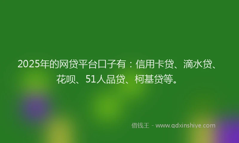 2025年的网贷平台口子有：信用卡贷、滴水贷、花呗、51人品贷、柯基贷等。