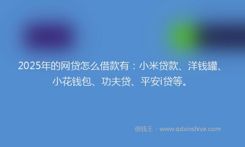 2025年的网贷怎么借款有：小米贷款、洋钱罐、小花钱包、功夫贷、平安i贷等。