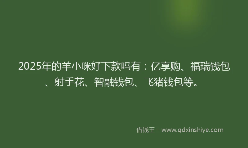 2025年的羊小咪好下款吗有：亿享购、福瑞钱包、射手花、智融钱包、飞猪钱包等。
