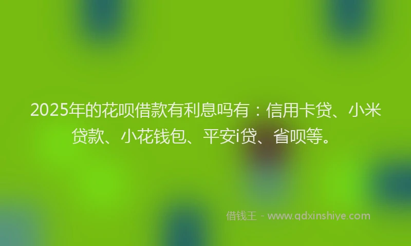 2025年的花呗借款有利息吗有：信用卡贷、小米贷款、小花钱包、平安i贷、省呗等。