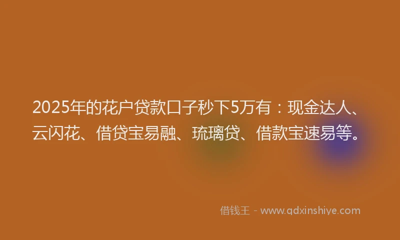 2025年的花户贷款口子秒下5万有：现金达人、云闪花、借贷宝易融、琉璃贷、借款宝速易等。