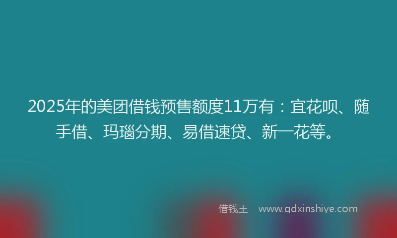 2025年的美团借钱预售额度11万有：宜花呗、随手借、玛瑙分期、易借速贷、新一花等。