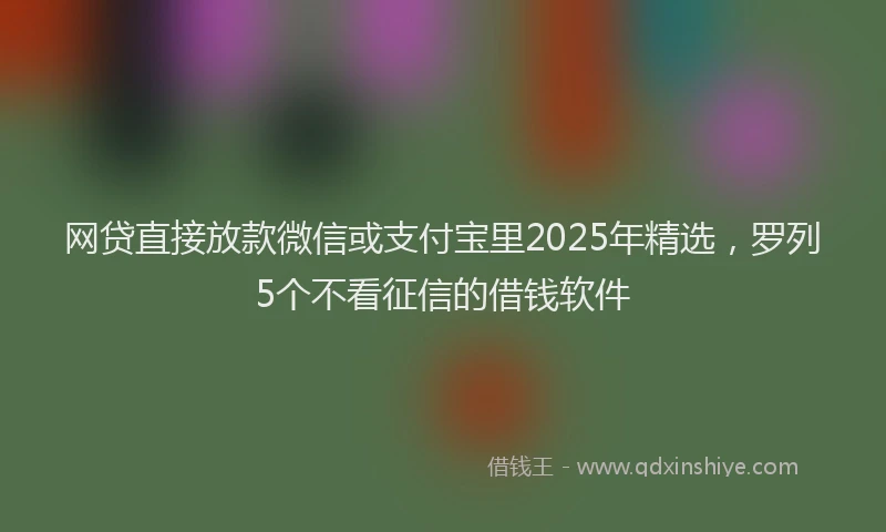 网贷直接放款微信或支付宝里2025年精选，罗列5个不看征信的借钱软件