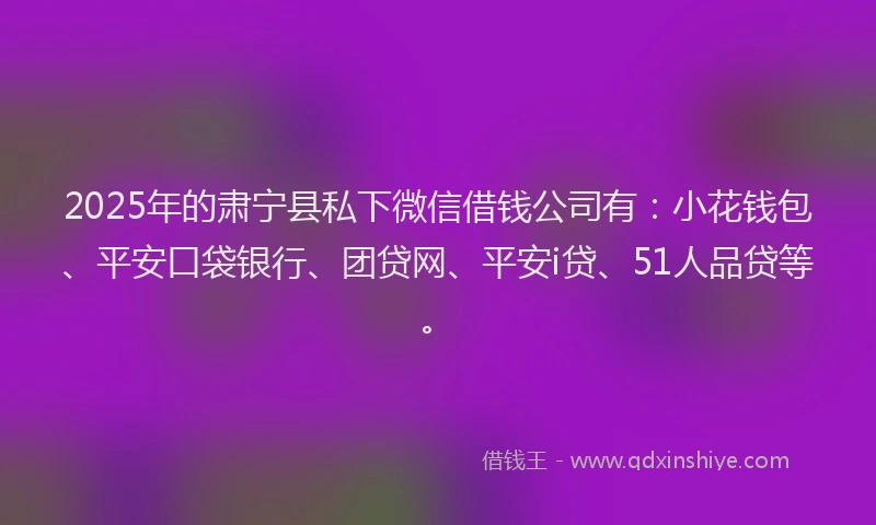 2025年的肃宁县私下微信借钱公司有：小花钱包、平安口袋银行、团贷网、平安i贷、51人品贷等。