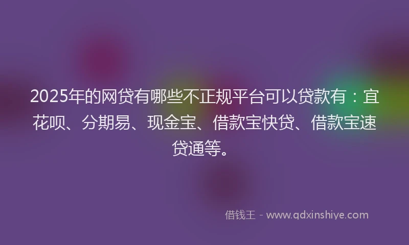 2025年的网贷有哪些不正规平台可以贷款有：宜花呗、分期易、现金宝、借款宝快贷、借款宝速贷通等。