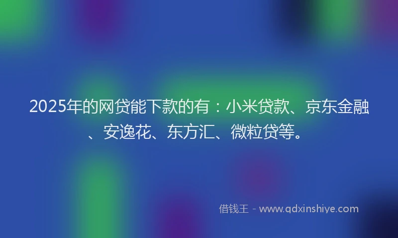 2025年的网贷能下款的有：小米贷款、京东金融、安逸花、东方汇、微粒贷等。