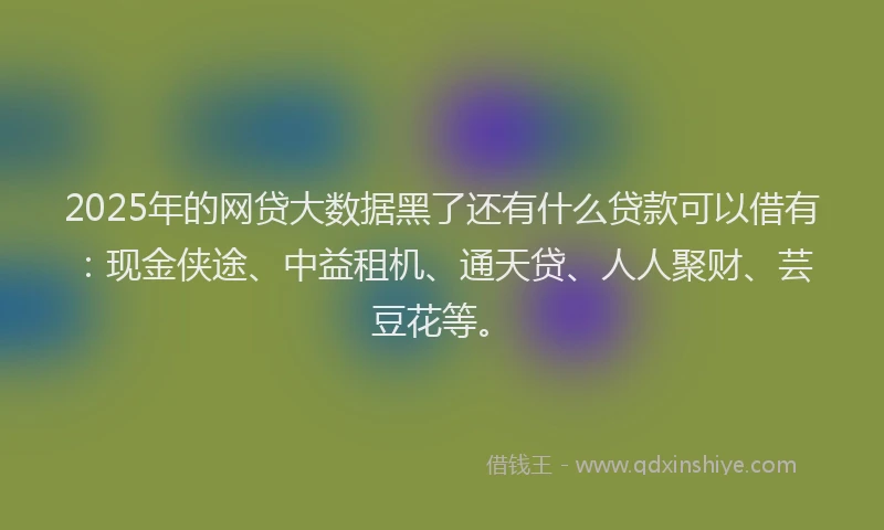 2025年的网贷大数据黑了还有什么贷款可以借有：现金侠途、中益租机、通天贷、人人聚财、芸豆花等。