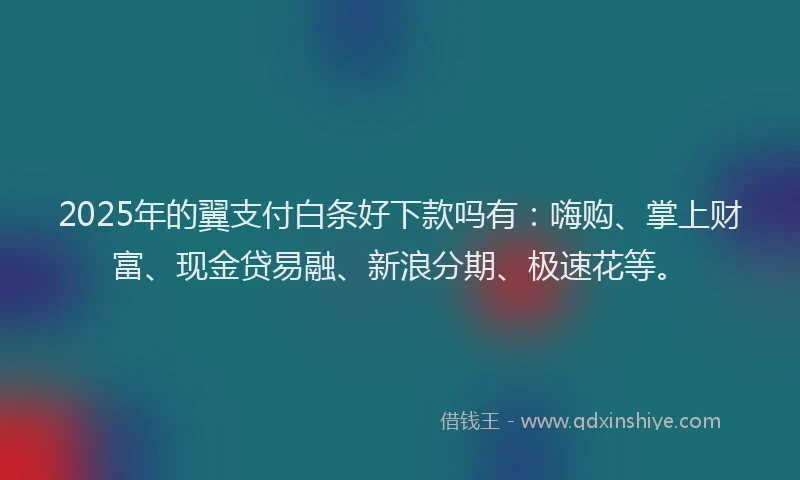 2025年的翼支付白条好下款吗有：嗨购、掌上财富、现金贷易融、新浪分期、极速花等。