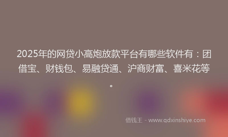 2025年的网贷小高炮放款平台有哪些软件有：团借宝、财钱包、易融贷通、沪商财富、喜米花等。
