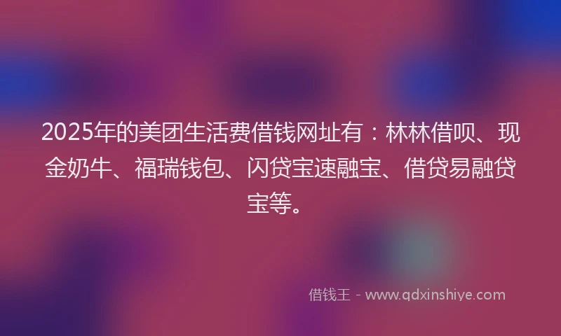 2025年的美团生活费借钱网址有：林林借呗、现金奶牛、福瑞钱包、闪贷宝速融宝、借贷易融贷宝等。