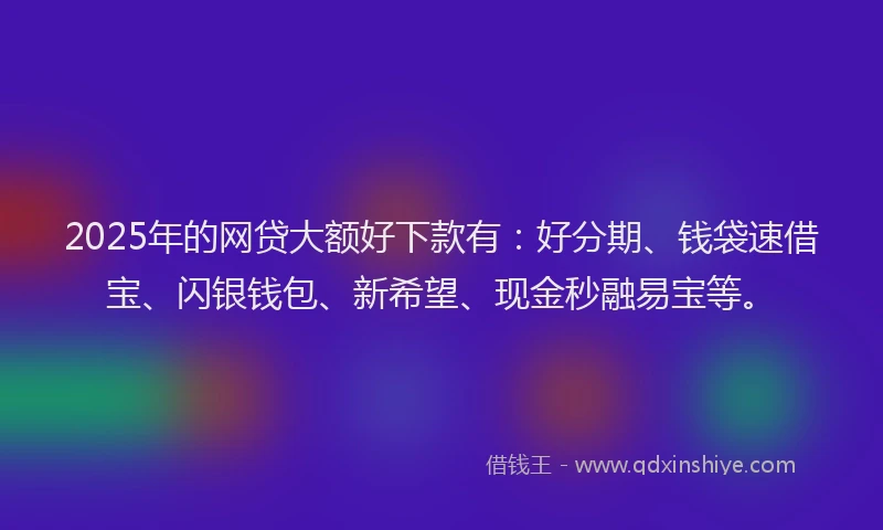 2025年的网贷大额好下款有：好分期、钱袋速借宝、闪银钱包、新希望、现金秒融易宝等。