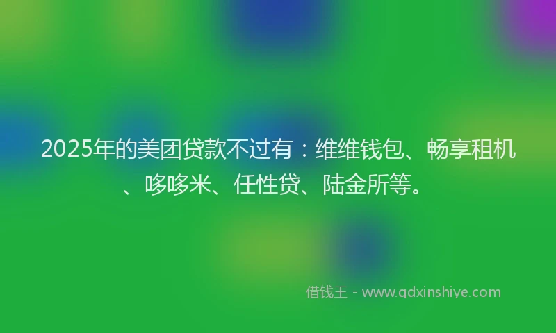 2025年的美团贷款不过有：维维钱包、畅享租机、哆哆米、任性贷、陆金所等。