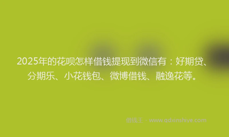 2025年的花呗怎样借钱提现到微信有：好期贷、分期乐、小花钱包、微博借钱、融逸花等。