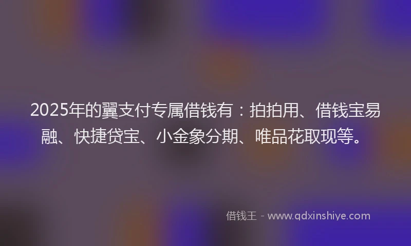 2025年的翼支付专属借钱有：拍拍用、借钱宝易融、快捷贷宝、小金象分期、唯品花取现等。