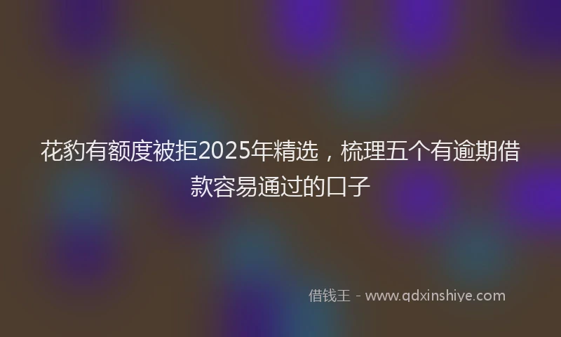 花豹有额度被拒2025年精选，梳理五个有逾期借款容易通过的口子