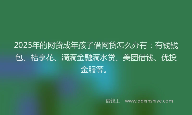 2025年的网贷成年孩子借网贷怎么办有：有钱钱包、桔享花、滴滴金融滴水贷、美团借钱、优投金服等。