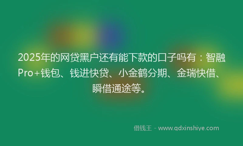 2025年的网贷黑户还有能下款的口子吗有：智融Pro+钱包、钱进快贷、小金鹤分期、金瑞快借、瞬借通途等。