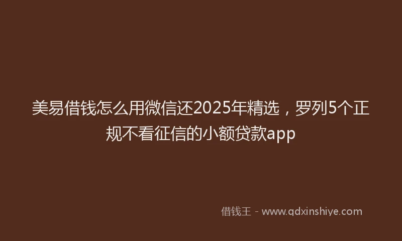 美易借钱怎么用微信还2025年精选，罗列5个正规不看征信的小额贷款app