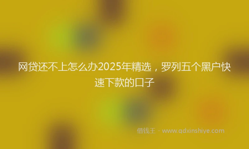 网贷还不上怎么办2025年精选，罗列五个黑户快速下款的口子