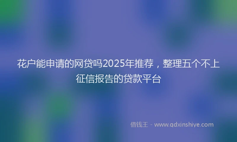 花户能申请的网贷吗2025年推荐，整理五个不上征信报告的贷款平台