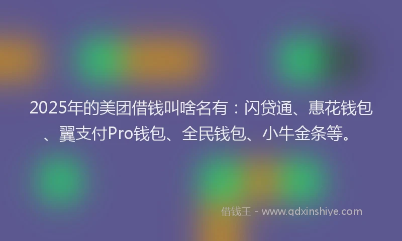 2025年的美团借钱叫啥名有：闪贷通、惠花钱包、翼支付Pro钱包、全民钱包、小牛金条等。