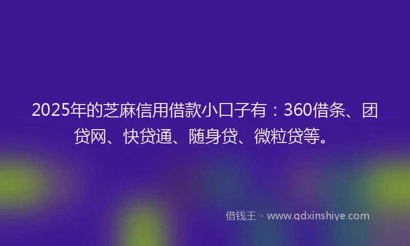 2025年的芝麻信用借款小口子有：360借条、团贷网、快贷通、随身贷、微粒贷等。