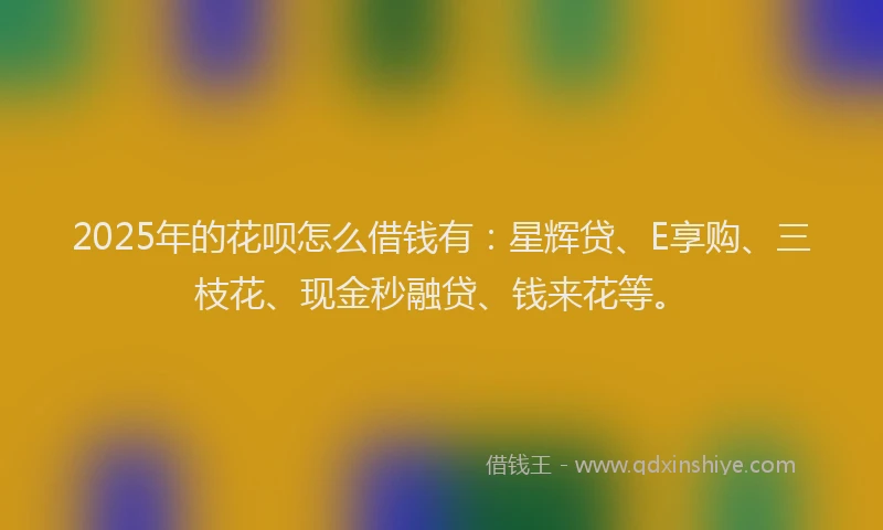 2025年的花呗怎么借钱有：星辉贷、E享购、三枝花、现金秒融贷、钱来花等。
