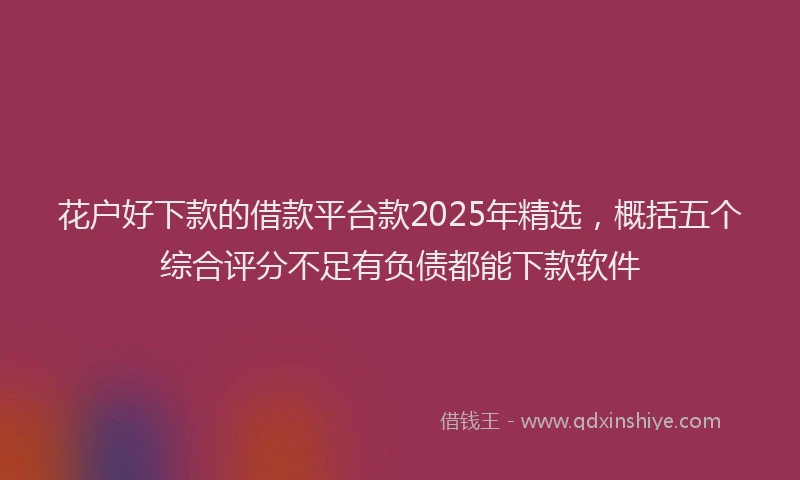 花户好下款的借款平台款2025年精选，概括五个综合评分不足有负债都能下款软件