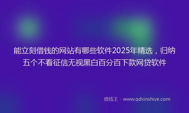 能立刻借钱的网站有哪些软件2025年精选，归纳五个不看征信无视黑白百分百下款网贷软件