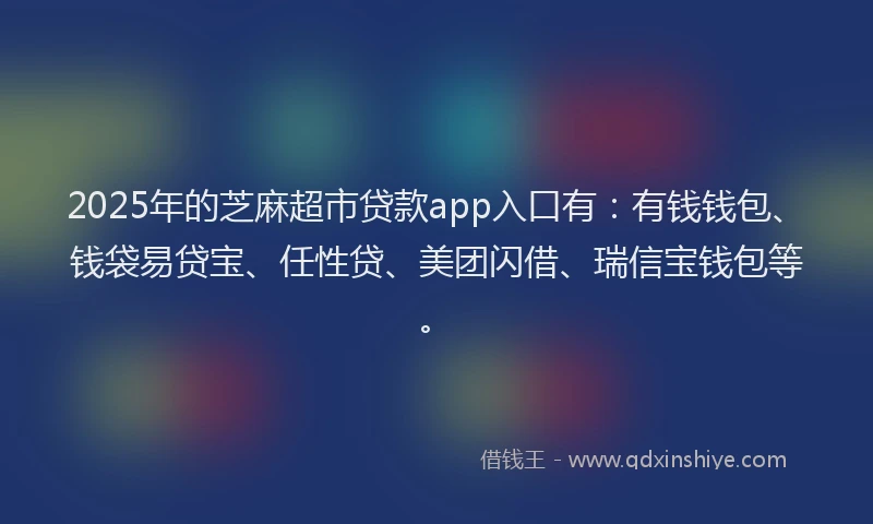2025年的芝麻超市贷款app入口有：有钱钱包、钱袋易贷宝、任性贷、美团闪借、瑞信宝钱包等。