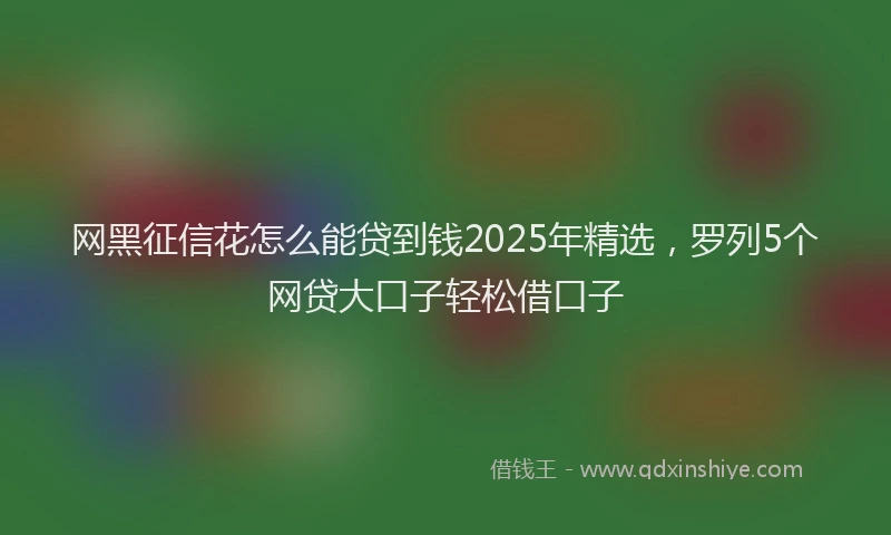 网黑征信花怎么能贷到钱2025年精选，罗列5个网贷大口子轻松借口子
