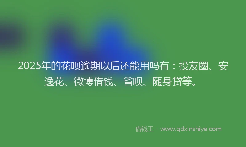 2025年的花呗逾期以后还能用吗有：投友圈、安逸花、微博借钱、省呗、随身贷等。