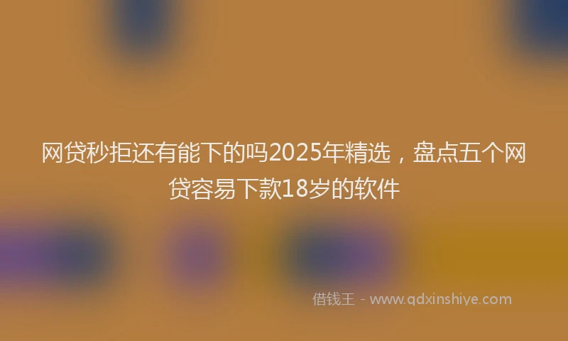 网贷秒拒还有能下的吗2025年精选，盘点五个网贷容易下款18岁的软件