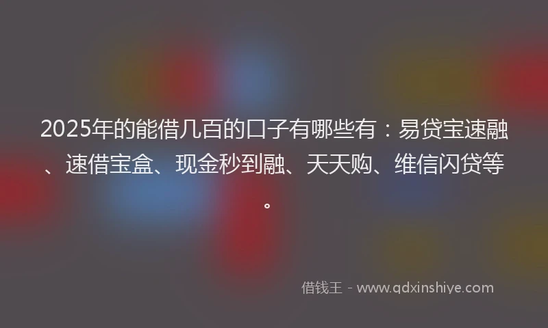 2025年的能借几百的口子有哪些有：易贷宝速融、速借宝盒、现金秒到融、天天购、维信闪贷等。