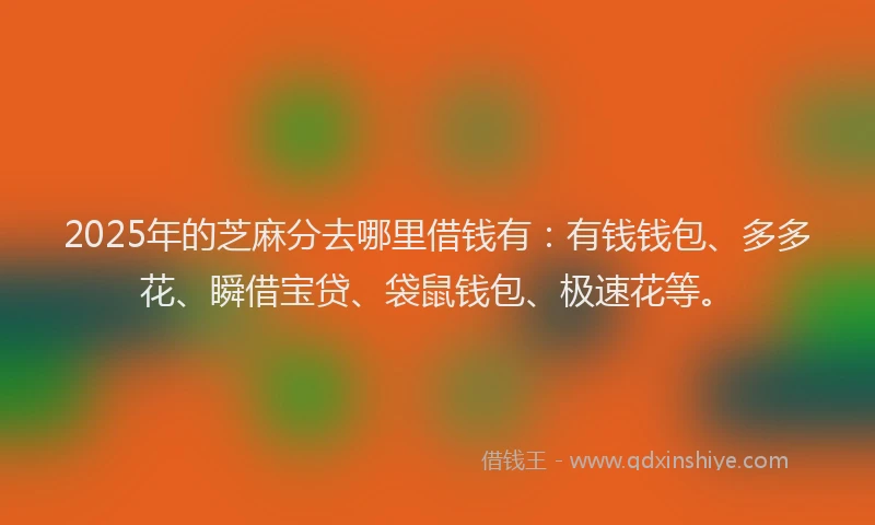 2025年的芝麻分去哪里借钱有：有钱钱包、多多花、瞬借宝贷、袋鼠钱包、极速花等。