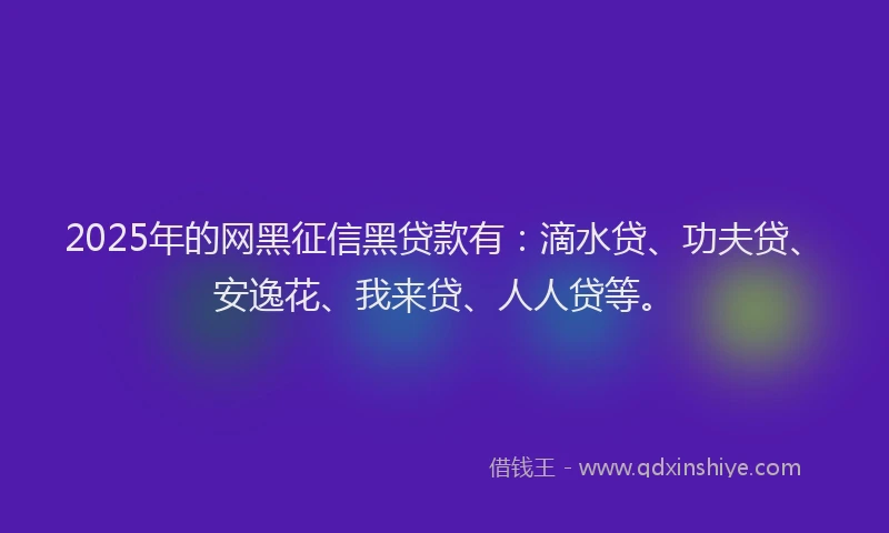 2025年的网黑征信黑贷款有：滴水贷、功夫贷、安逸花、我来贷、人人贷等。