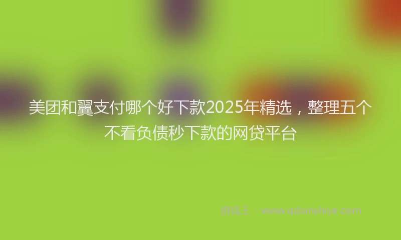 美团和翼支付哪个好下款2025年精选，整理五个不看负债秒下款的网贷平台