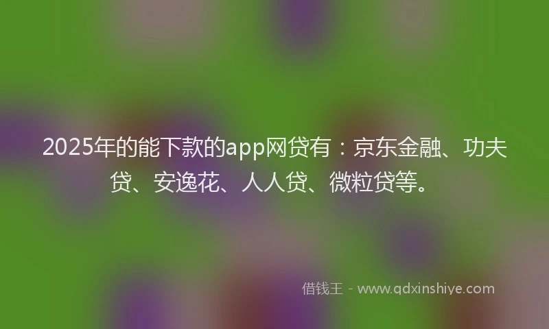 2025年的能下款的app网贷有：京东金融、功夫贷、安逸花、人人贷、微粒贷等。