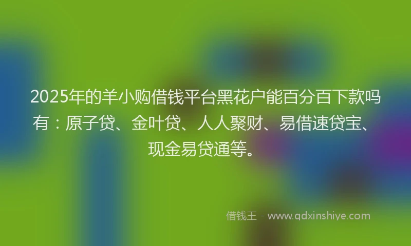 2025年的羊小购借钱平台黑花户能百分百下款吗有：原子贷、金叶贷、人人聚财、易借速贷宝、现金易贷通等。