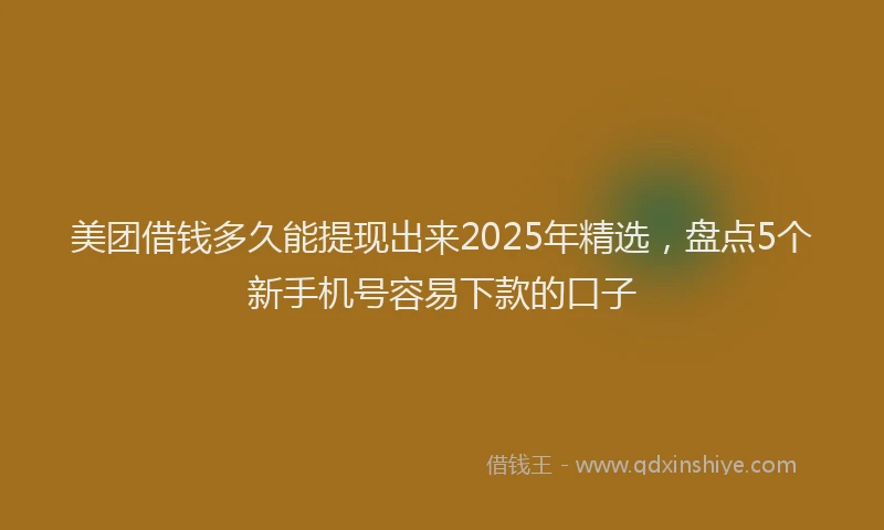 美团借钱多久能提现出来2025年精选，盘点5个新手机号容易下款的口子