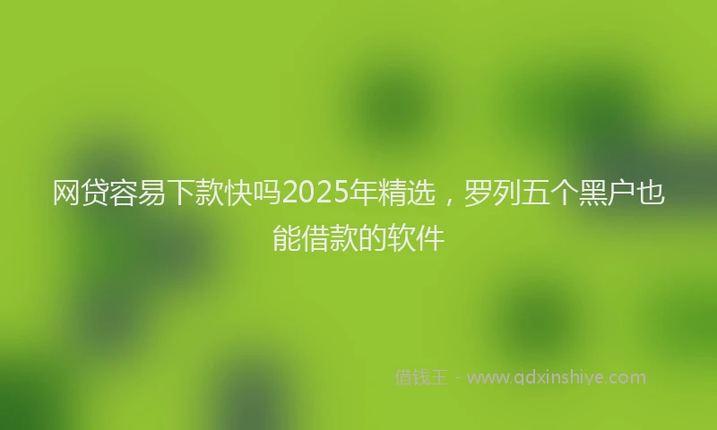 网贷容易下款快吗2025年精选，罗列五个黑户也能借款的软件