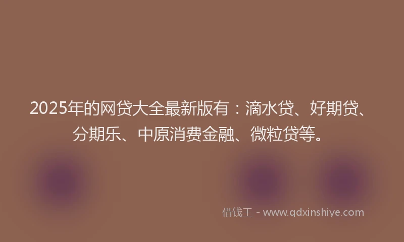 2025年的网贷大全最新版有：滴水贷、好期贷、分期乐、中原消费金融、微粒贷等。